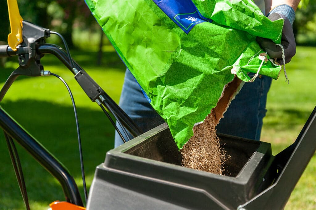 Comment semer du gazon sur une pelouse existante ?